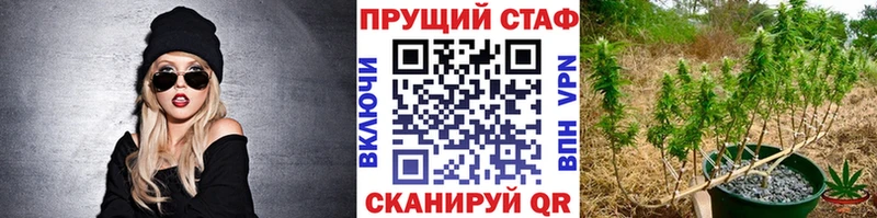Сколько стоит Норильск Кокаин  Каннабис  Меф  ГАШ 