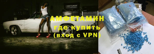 ГАЛЛЮЦИНОГЕННЫЕ ГРИБЫ Гусев