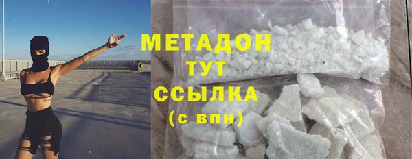 прущие грибы Гусиноозёрск