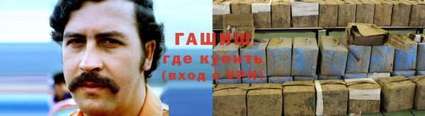 прущие грибы Гусиноозёрск