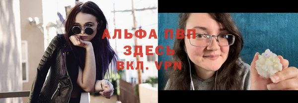 прущие грибы Гусиноозёрск