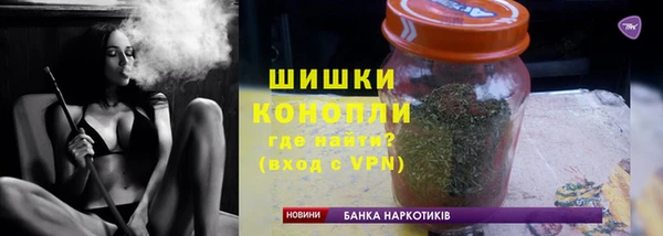прущие грибы Гусиноозёрск