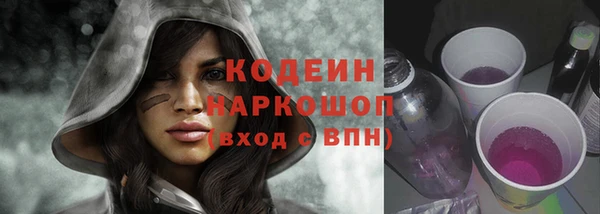 ГАЛЛЮЦИНОГЕННЫЕ ГРИБЫ Гусев