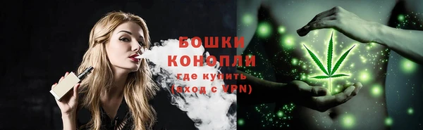прущие грибы Гусиноозёрск