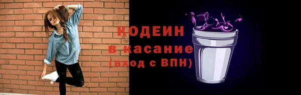 прущие грибы Гусиноозёрск