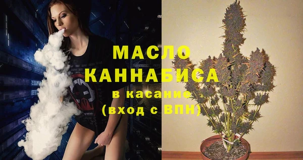 ГАЛЛЮЦИНОГЕННЫЕ ГРИБЫ Гусев