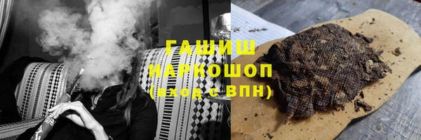 прущие грибы Гусиноозёрск