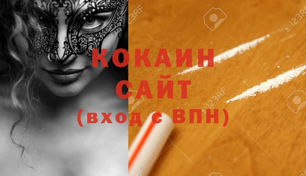 прущие грибы Гусиноозёрск